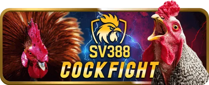 Thưởng nạp lại và hoàn trả tiền cược VTY57